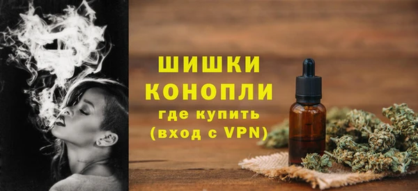 бошки Гусиноозёрск