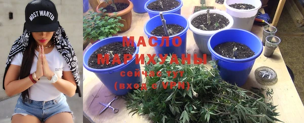 индика Навашино