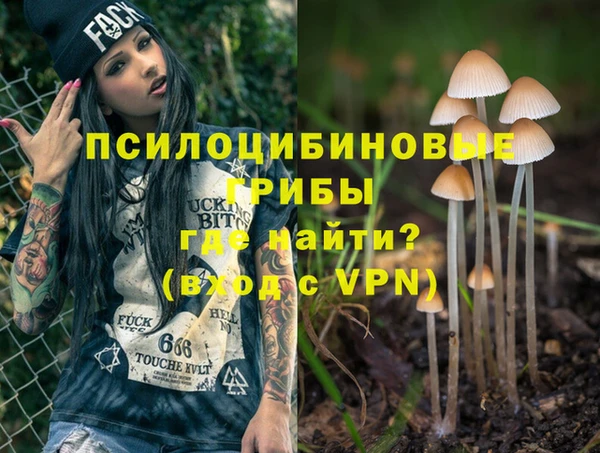 индика Навашино