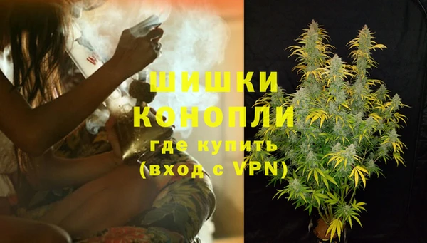 винт Нея
