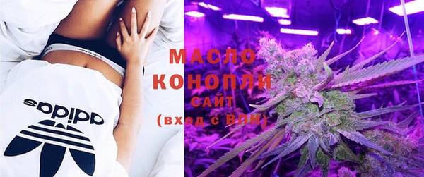 стафф Гусев