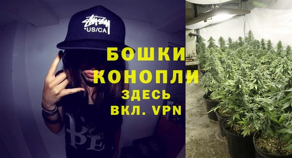индика Навашино