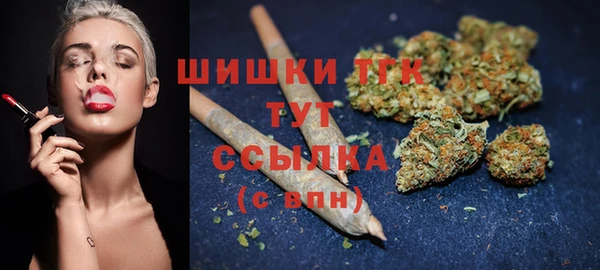 индика Навашино