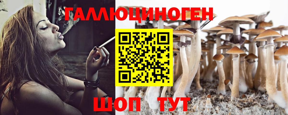 Галлюциногенные грибы прущие грибы Надым