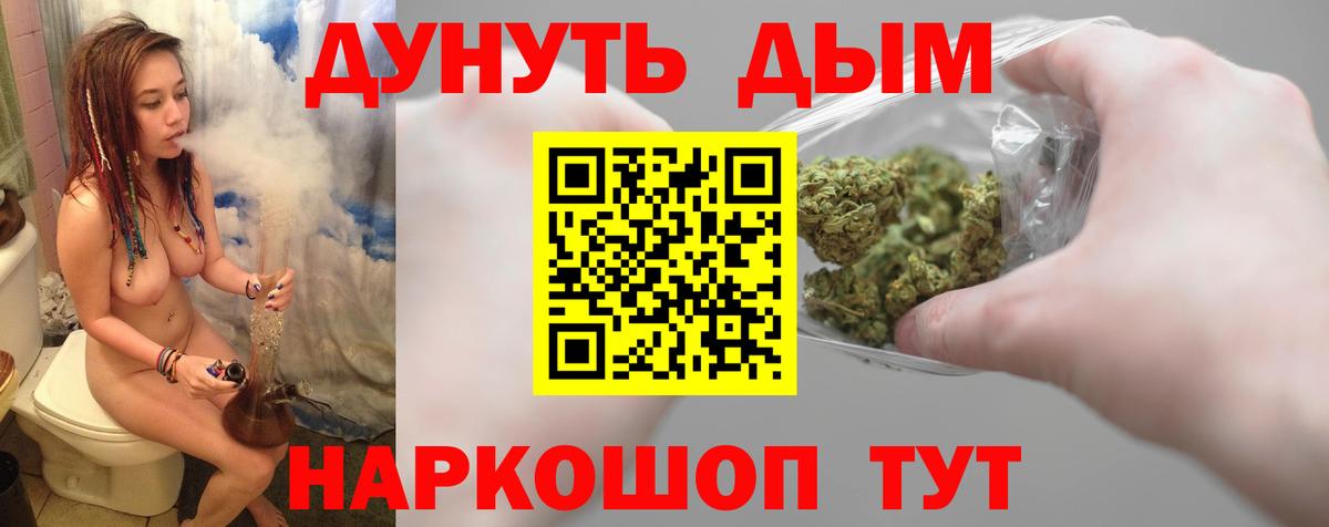 Марихуана сатива Надым