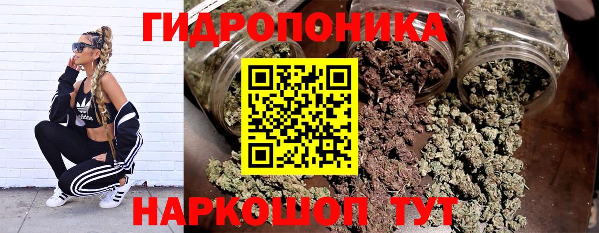 Марихуана Bruce Banner  Надым  Марихуана Bruce Banner  Бошки Шишки THC 21% 